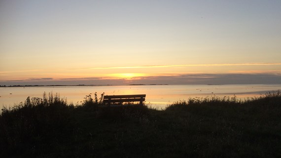 /media/13712/oktober-maaneds-billede-fotograferet-af-jytte-kristiansen-img_2700-2.jpg