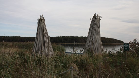 /media/27320/img_6962.jpg