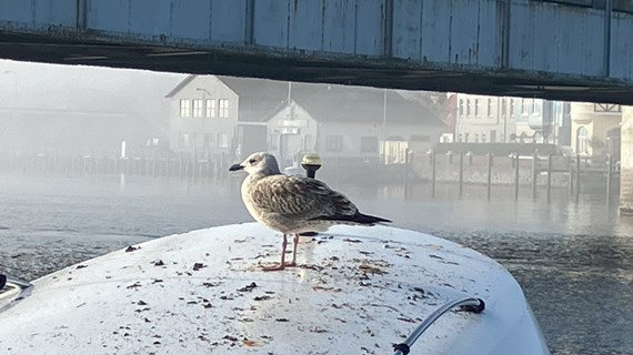 /media/27341/img_0403-1.jpg