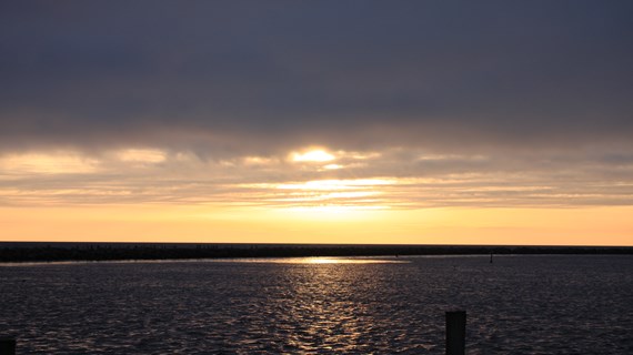 /media/27957/img_7005.jpg