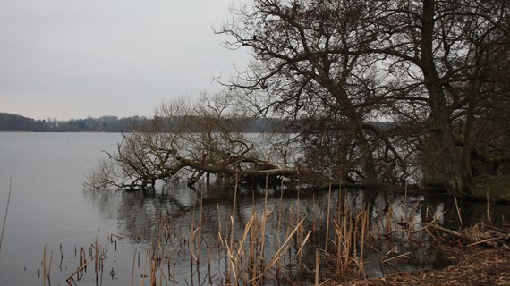 /media/27958/img_7020.jpg